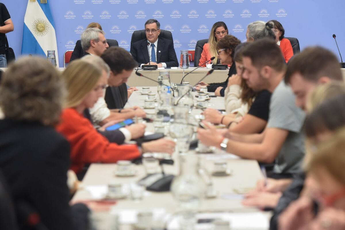 La Comisión de Educación, bajo el comando de Alejandro Finocchiaro (Pro)