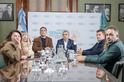 La Comisión de Presupuesto e Impuestos del Senado de la provincia de Buenos Aires, este lunes