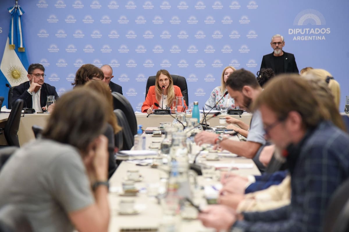 La Comisión de Previsión Social de la Cámara de Diputados