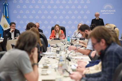 La Comisión de Previsión Social de la Cámara de Diputados