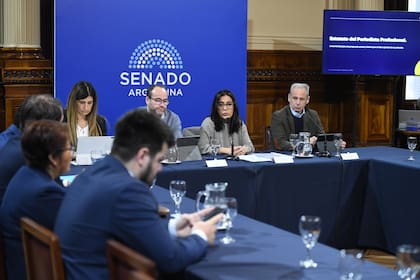 La Comisión de Sistemas, Medios de Comunicación y Libertad de Expresión, en la que Fopea hizo su defensa del estatuto del periodista