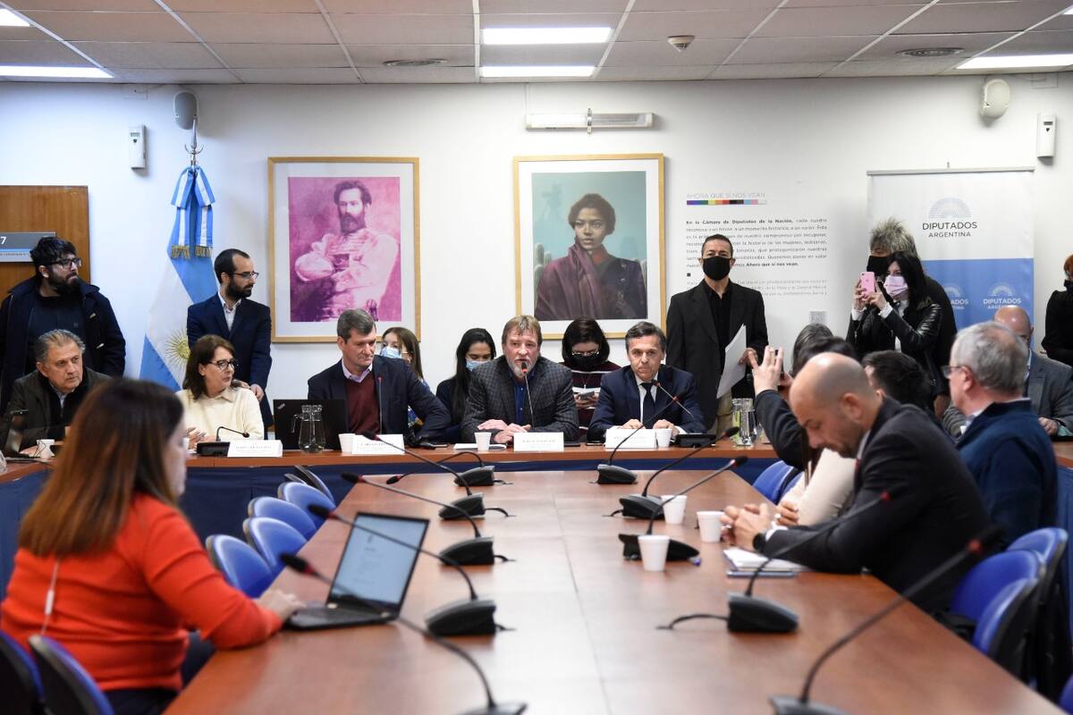 La comisión de Transporte se reunió hoy en el anexo de la Cámara de Diputados