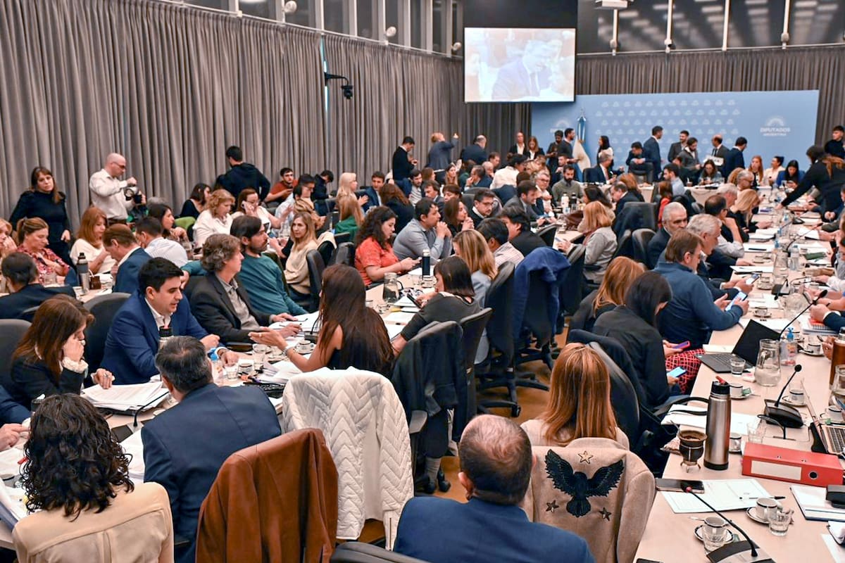 La comisión en la que obtuvo dictamen de mayoría el proyecto de la nueva ley de Bases