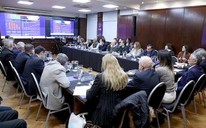La Comisión para la Certificación de la Eliminación de la Circulación Endémica de Sarampión, Rubéola y Síndrome de Rubéola Congénita se encargará de confirmar o descartar los casos sospechosos de sarampión