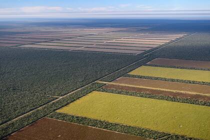 La Comisión planteó posponer la entrada en vigor de la norma para las micro y pequeñas empresas hasta el 30 de diciembre de 2026