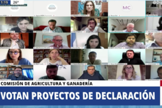 Diputados: cruces por un proyecto K para crear un Observatorio de Agroquímicos