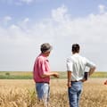 Europa pierde terreno frente a sus competidores agrícolas, advierte un informe encargado por Bayer