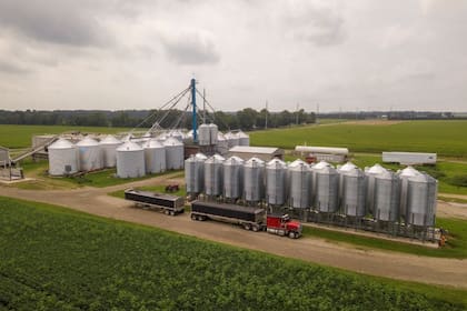 La compañía de Semillas Mendon Seed Growers en Michigan, EE.UU. La compró Agrality