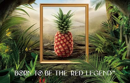 La compañía que creó esta piña de lujo hizo su lanzamiento oficial en el mercado de Asia