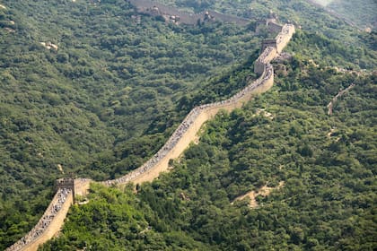 La comparación con la Gran Muralla china es correcta, ya que tiene 21.200 km de longitud