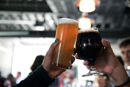 La composición de la cerveza es capaz de beneficiar la salud intestinal