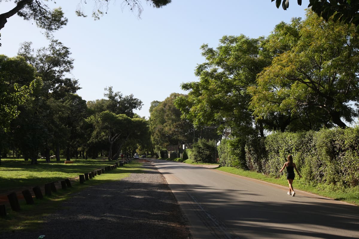 La Comuna 8 es la que más presencia verde tiene, seguida por las comunas 1, 13 y 14