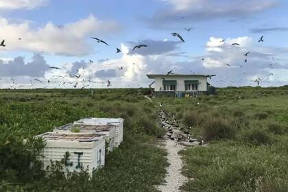 La comunicación en la isla es muy esporádica