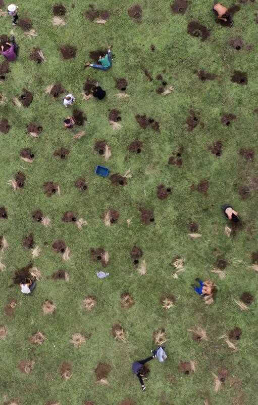 La comunidad de Bosques de Agua en las plantaciones de tabaquillo.
Foto por Emiliano Zaya.