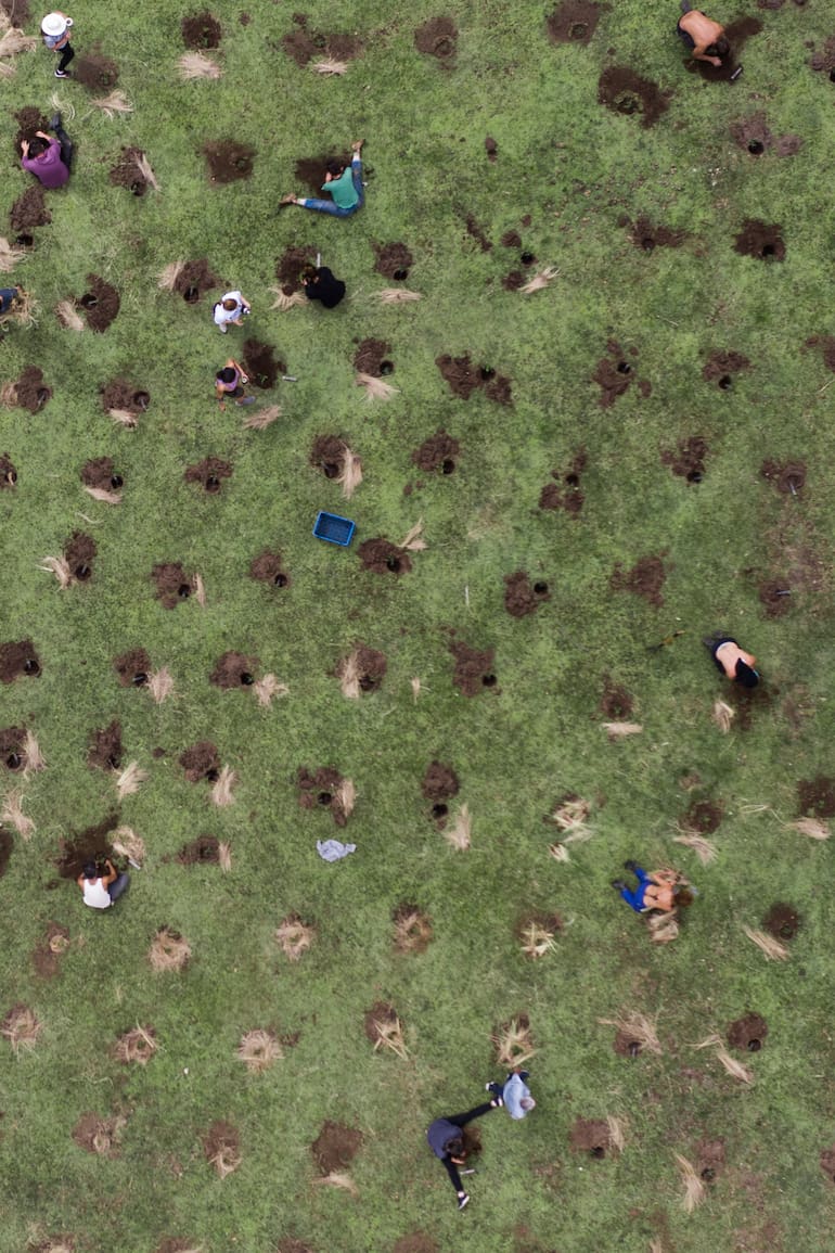 La comunidad de Bosques de Agua en las plantaciones de tabaquillo.
Foto por Emiliano Zaya.