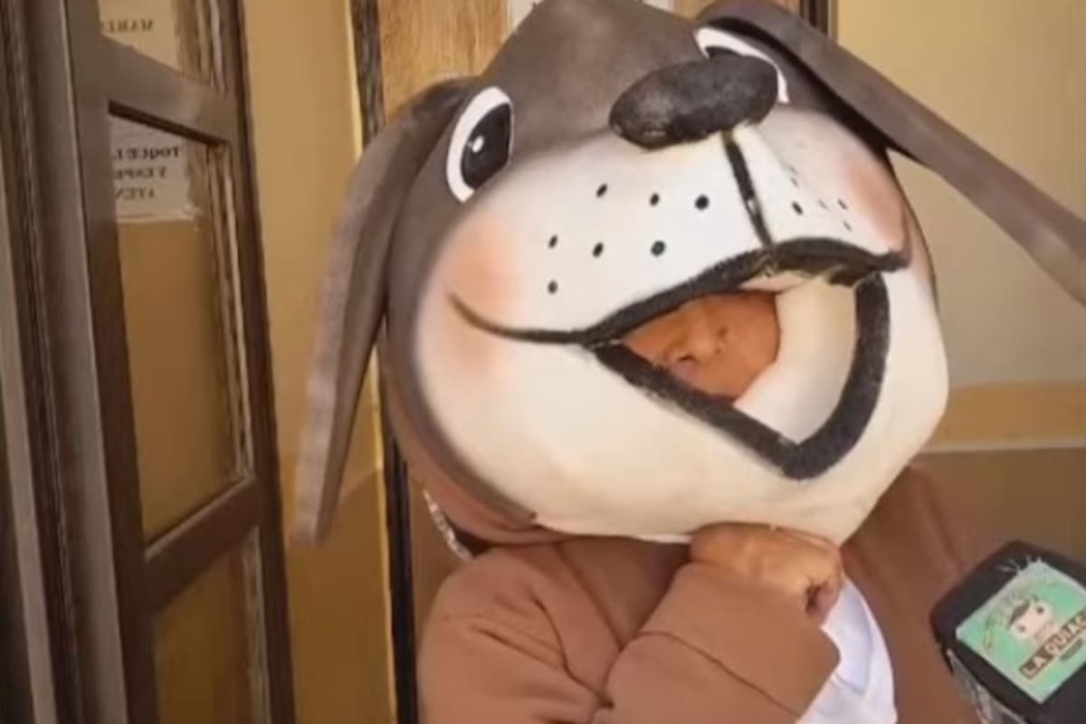 La concejal Felisa Nieve, en la sesión del Concejo Deliberante de La Quiaca, vestida de perro