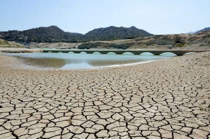 La conciencia ecológica es muy importante para el futuro, según la IA