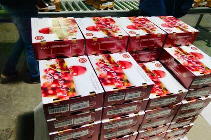 La concreción del envío de cerezas frescas a China se produjo luego del reconocimiento de la Patagonia como zona libre de mosca