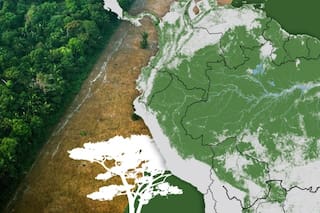 Los mapas y fotos que muestran la muerte del Amazonas y por qué el mundo debería preocuparse