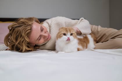 La confianza es uno de los factores que influye en el vínculo entre un gato y su persona favorita