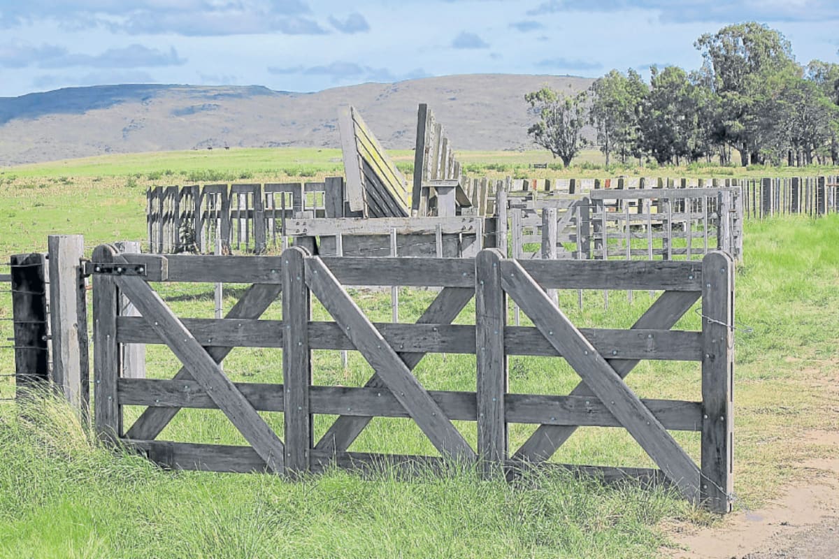 La conflictividad familiar deriva en complejas situaciones en la empresa ganadera