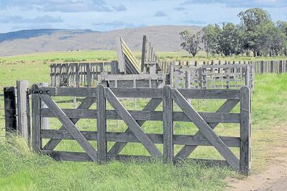La conflictividad familiar deriva en complejas situaciones en la empresa ganadera