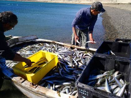 El aporte de Ruth Guerrero para la conformación de la Asociación de Recolectores Costeros del Riacho San José y de la Asociación de Pescadores Artesanales y Maricultores de Pequeña Escala fortaleció el trabajo comunitario y mejoró los ingresos de las familias