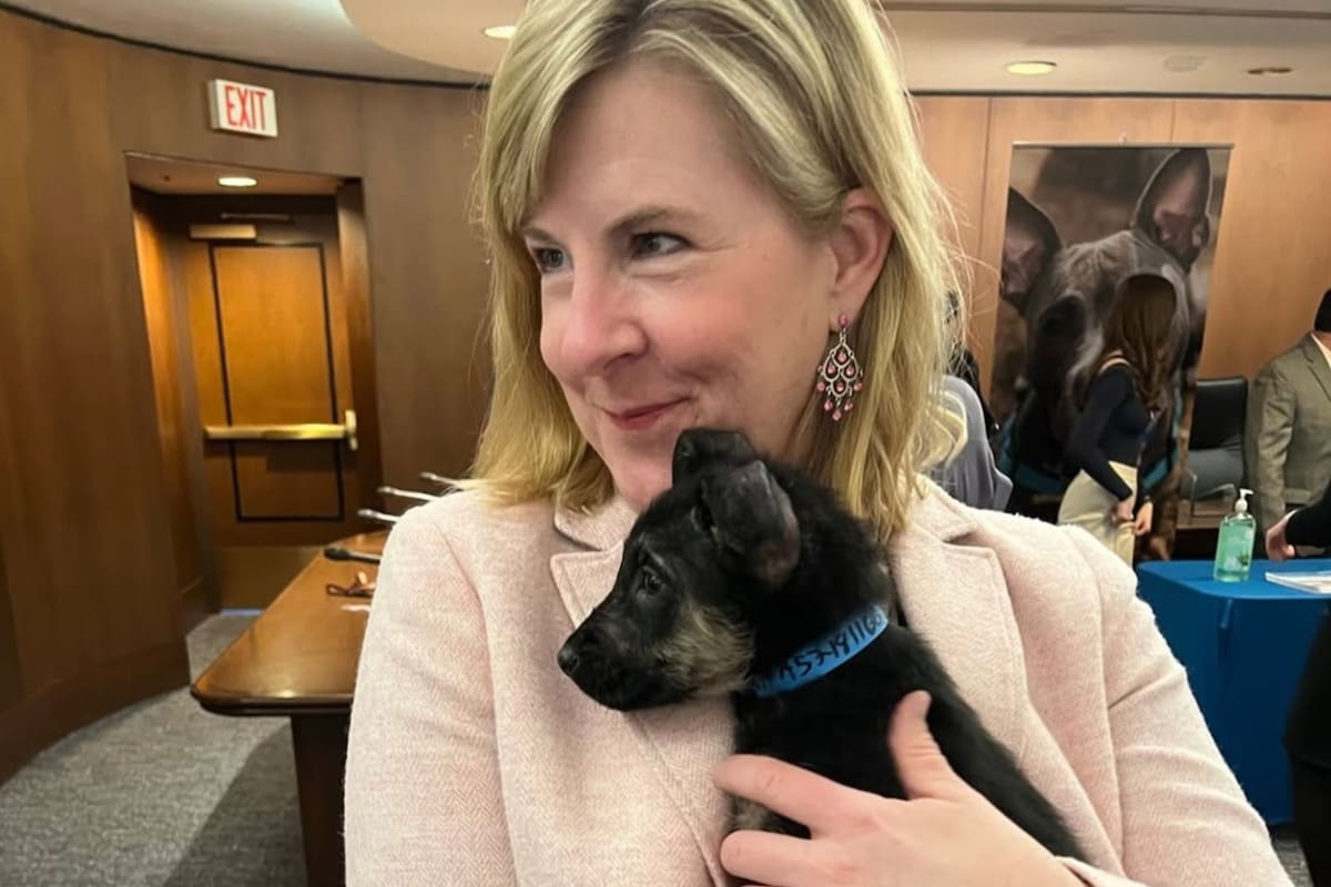 La congresista demócrata Melissa Hortman