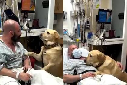 La conmovedora historias detrás del video del perro que acompaña a su dueño mientras está internado