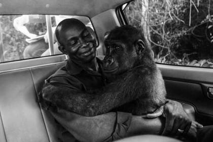 La conmovedora imagen ganó el premio del prestigioso certamen Wildlife y se exhibirá en el Museo de Historia Natural de Londres