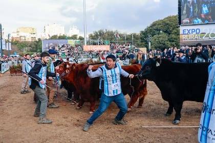 La consagración fue celebrada con emoción por el equipo de la cabaña ganadora, que se abrazó alrededor del reproductor apenas finalizó la jura