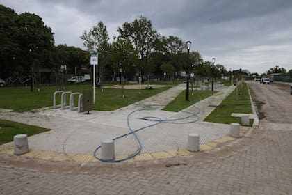 La conservación de los ejemplares de mayor antigüedad fue uno de los criterios utilizados para definir la distribución de los nuevos recorridos peatonales