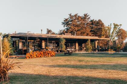 La construcción de hormigón se levanta en medio del parque, rodeado de un verde vibrante, una piscina y la huerta