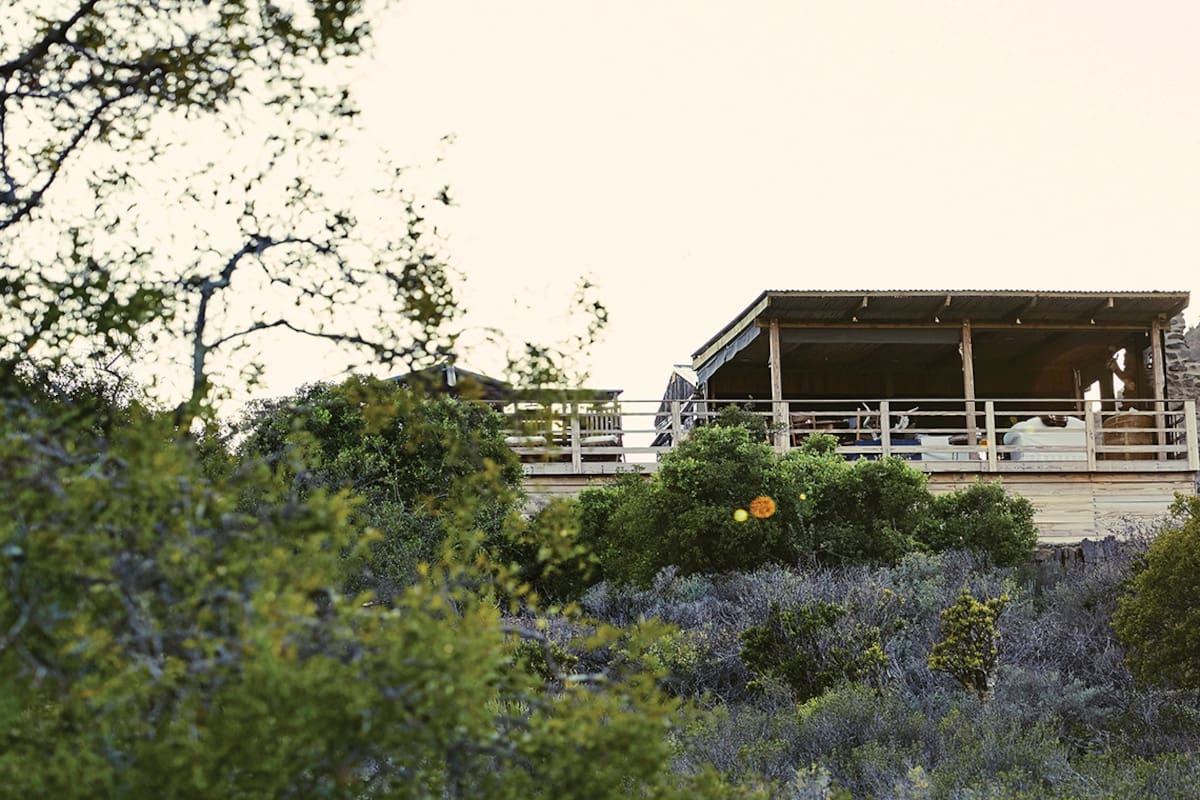 La construcción en medio de la naturaleza es una idea recurrente que en estos veinte años hemos seguido de cerca, capturando en todas las latitudes el mismo deseo colectivo: apartarse para encontrar conexión.