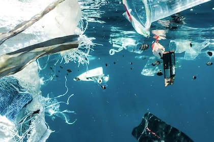 La contaminación de plásticos en los mares, un problema de estos tiempos