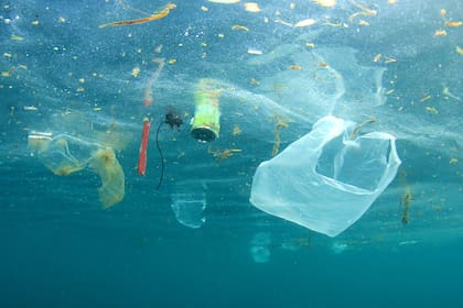 La contaminación por plástico afecta el agua y toda la fauna marina
