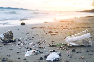 La contaminación por plásticos es hoy uno de los problemas ambientales más urgentes a nivel global.