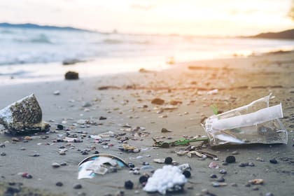 La contaminación por plásticos es hoy uno de los problemas ambientales más urgentes a nivel global