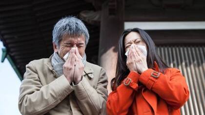 La contaminación y el cambio climático están agravando la crisis de alergia al polen, según estudios (FOTO: GETTY)