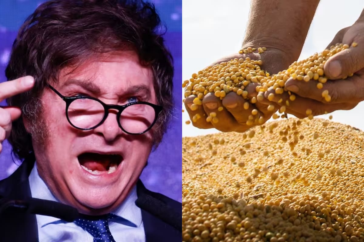 La continuidad de la medida del BCRA durante el gobierno de Javier Milei generó el enojo del campo