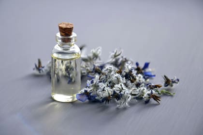 La convergencia entre perfumería y neurociencia toma cada vez mayor relevancia