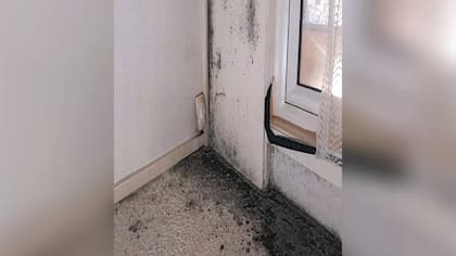 La cooperativa de viviendas Rochdale Boroughwide Housing reconoció que debió haber hecho más para eliminar el moho