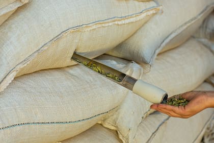 La Cooperativa envía yerba mate a China y venden por internet