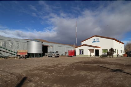 La Cooperativa Indígena Ganadera fue fundada en 1970