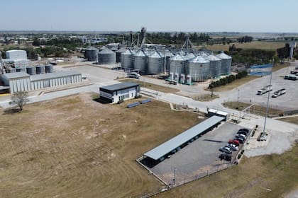 La Cooperativa Lehmann apuesta a medir la huella ambiental