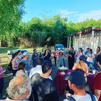 La cooperativa Vino Costa de Berisso ofrece una visita guiada los sábados a la mañana. Foto: @vinocostadeberisso