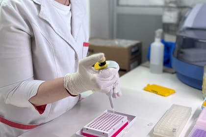 La coordinación entre distintos centros de estudios es vital para alcanzar buenos resultados contra el cáncer.