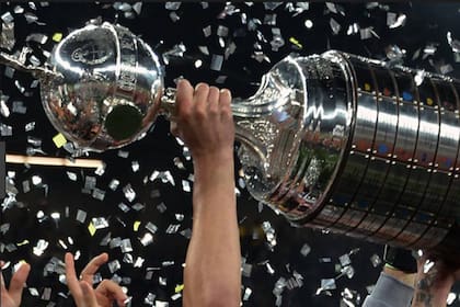 La Copa Libertadores, el trofeo más preciado a nivel sudamericano: hoy se definen los grupos