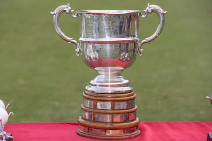La Copa República Argentina fue instituida en 1938 para premiar al ganador del Campeonato Nacional con Handicap, que fue creado en 1929 por Francisco Ceballos para desarrollar el polo en el interior del país.