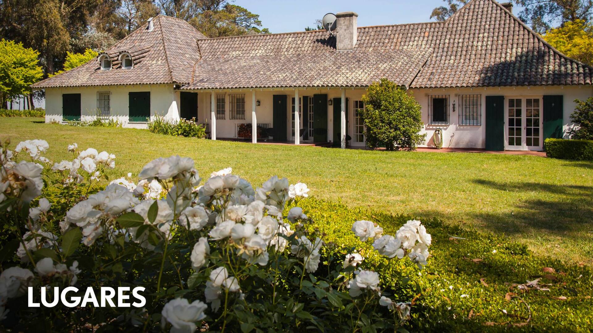 Una de las postales clásicas de la estancia: la casona enmarcada por un bosque de araucarias